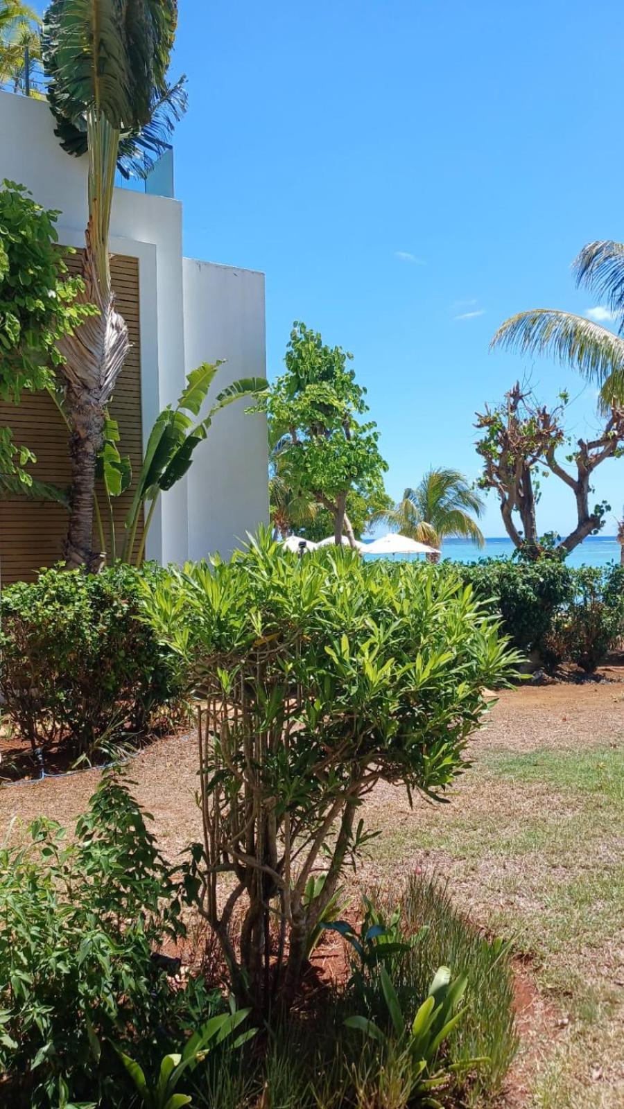 Cap Ouest Luxury Beachfront Flic-en-Flacq Exteriör bild